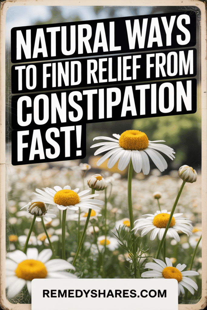 Natural Ways to Find Relief From Constipation Fast! Natural Ways to Find Relief From Constipation Fast!
